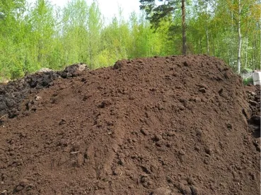 Çeşme Bahçe Toprağı